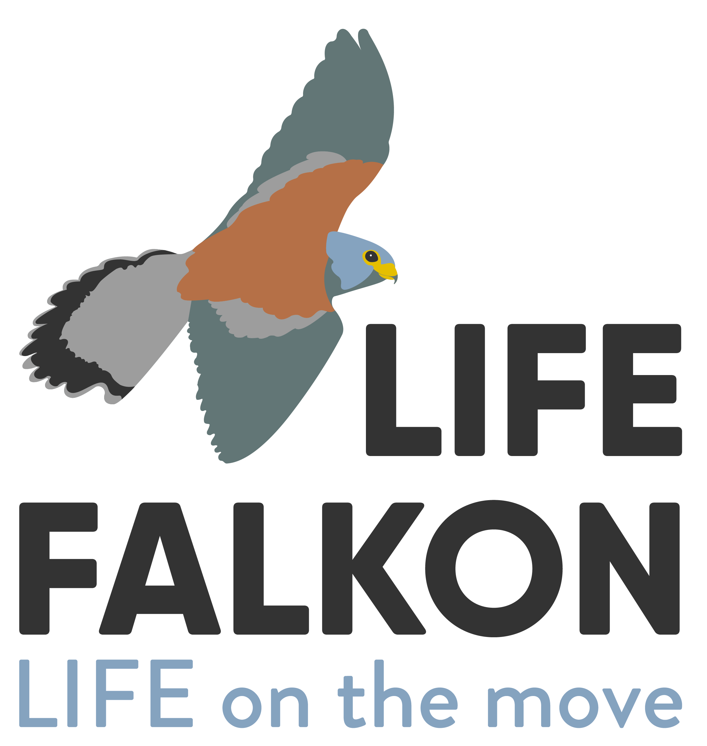 LIFE FALKON  – First Monitoring Visit